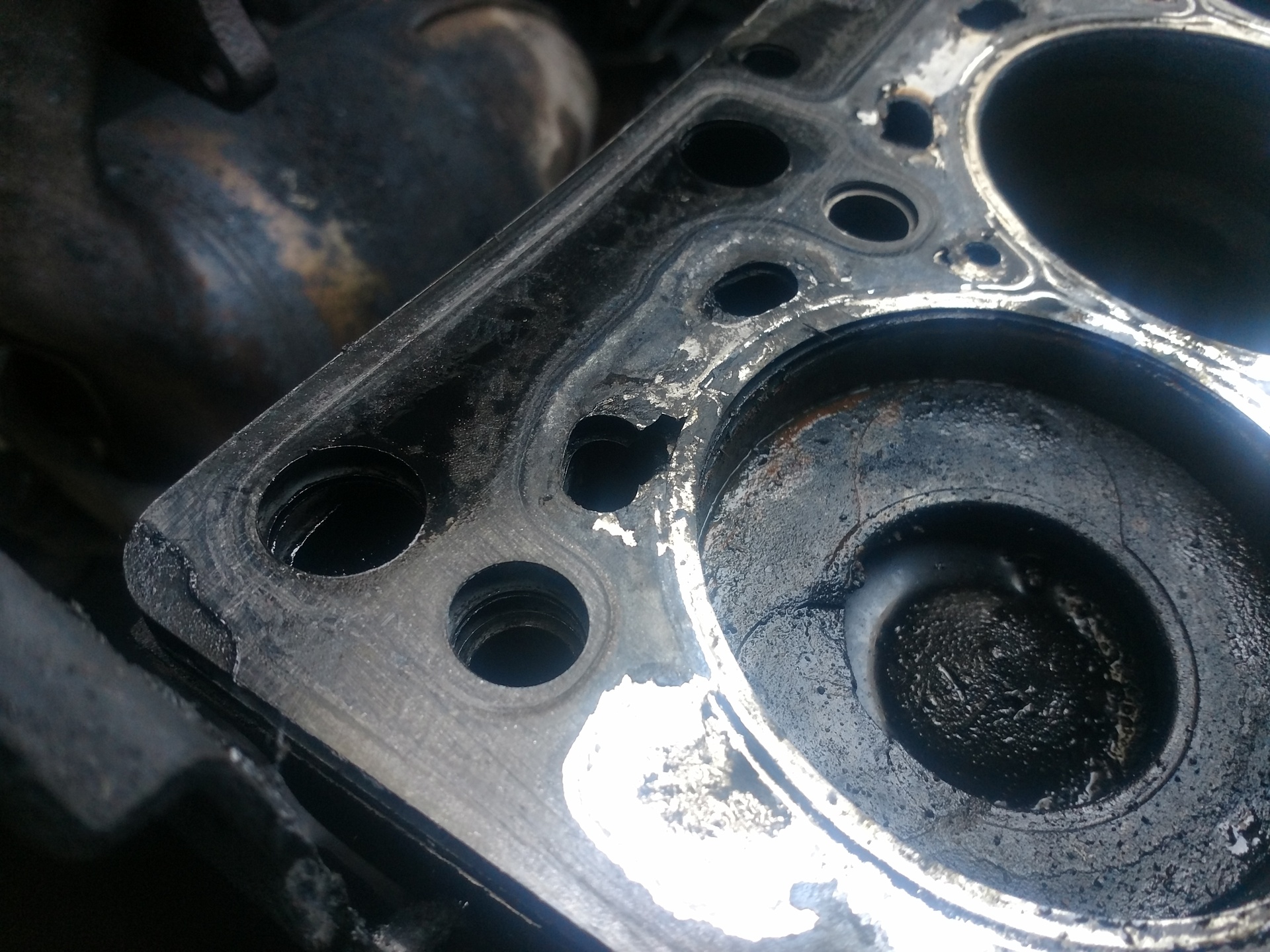 Kangoo Head Gasket